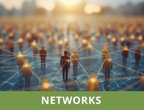 Visualization of a crowd of people; individual people are connected by lines.